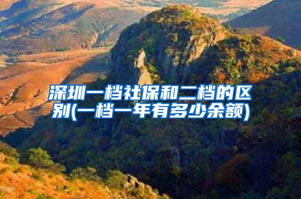 深圳一档社保和二档的区别(一档一年有多少余额)