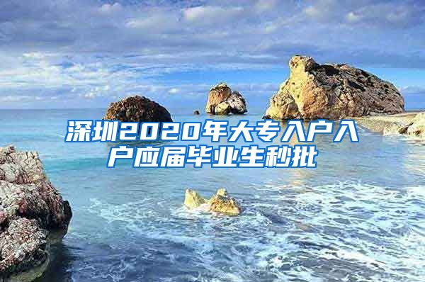 深圳2020年大专入户入户应届毕业生秒批