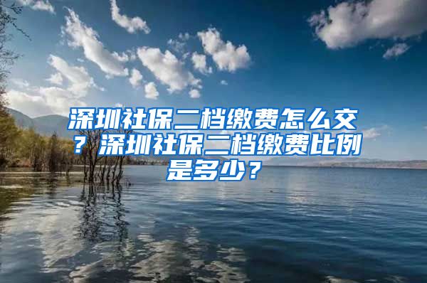 深圳社保二档缴费怎么交？深圳社保二档缴费比例是多少？