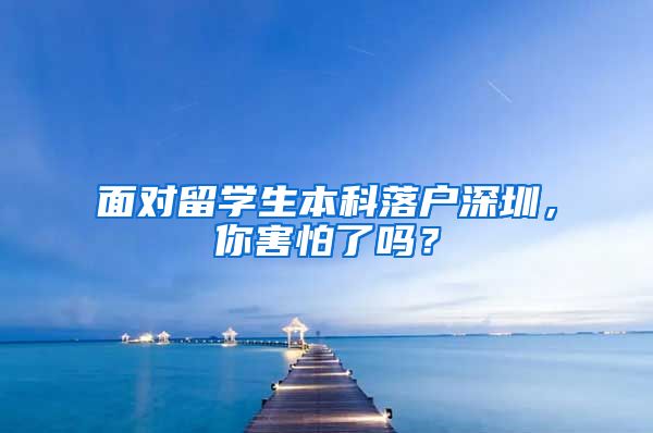 面对留学生本科落户深圳，你害怕了吗？
