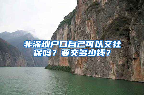 非深圳户口自己可以交社保吗？要交多少钱？