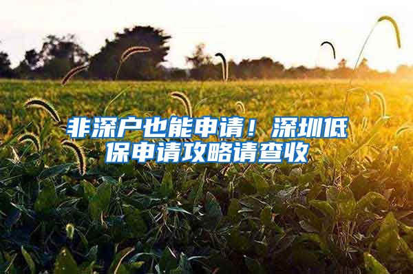 非深户也能申请！深圳低保申请攻略请查收