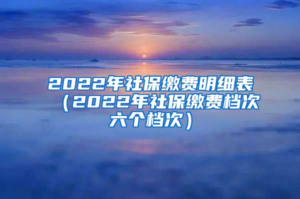 2022年社保缴费明细表（2022年社保缴费档次六个档次）