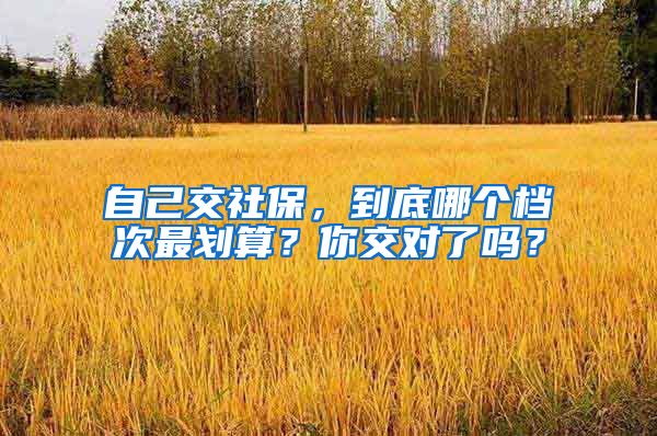自己交社保，到底哪个档次最划算？你交对了吗？