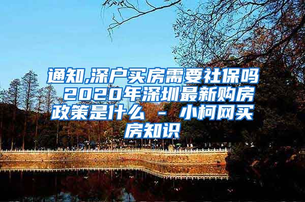 通知,深户买房需要社保吗 2020年深圳最新购房政策是什么 - 小柯网买房知识
