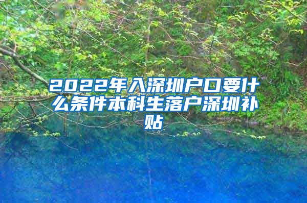2022年入深圳户口要什么条件本科生落户深圳补贴