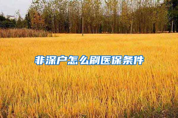 非深户怎么刷医保条件