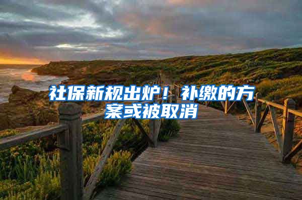 社保新规出炉！补缴的方案或被取消