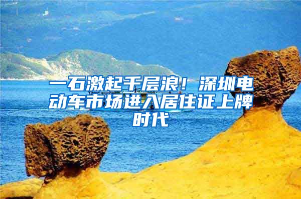一石激起千层浪！深圳电动车市场进入居住证上牌时代