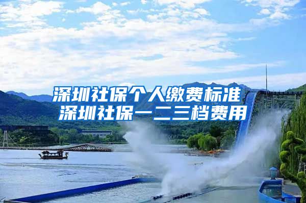 深圳社保个人缴费标准 深圳社保一二三档费用