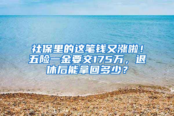 社保里的这笔钱又涨啦！五险一金要交175万，退休后能拿回多少？