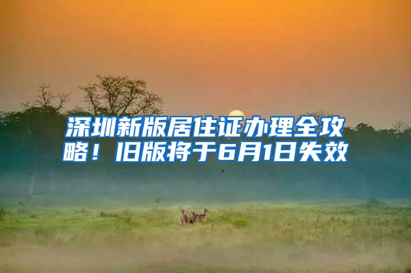 深圳新版居住证办理全攻略！旧版将于6月1日失效