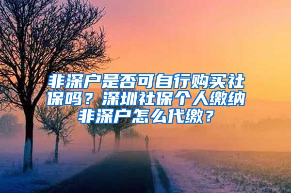 非深户是否可自行购买社保吗？深圳社保个人缴纳非深户怎么代缴？