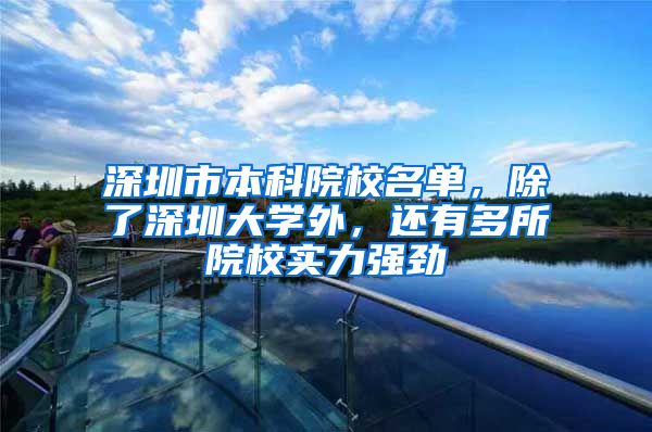 深圳市本科院校名单，除了深圳大学外，还有多所院校实力强劲