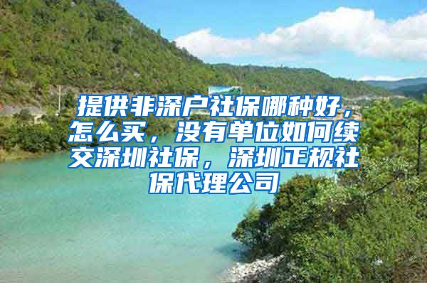 提供非深户社保哪种好，怎么买，没有单位如何续交深圳社保，深圳正规社保代理公司