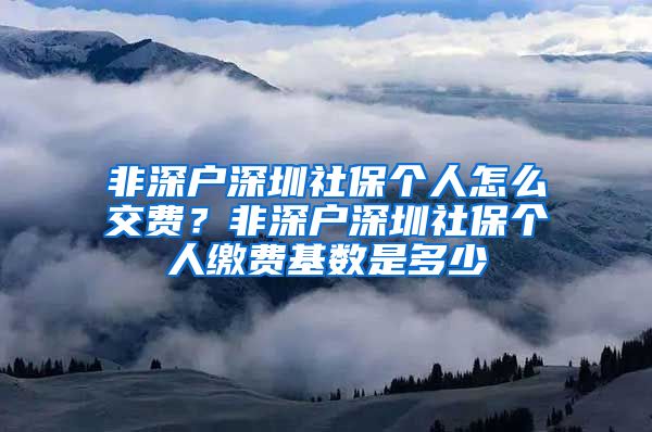 非深户深圳社保个人怎么交费？非深户深圳社保个人缴费基数是多少