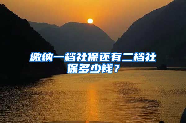 缴纳一档社保还有二档社保多少钱？