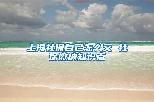 上海社保自己怎么交 社保缴纳知识点