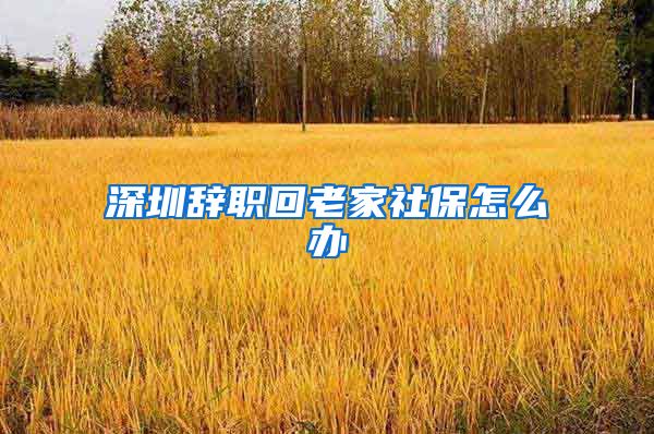 深圳辞职回老家社保怎么办