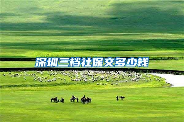 深圳三档社保交多少钱