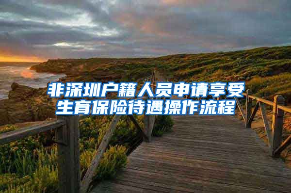非深圳户籍人员申请享受生育保险待遇操作流程