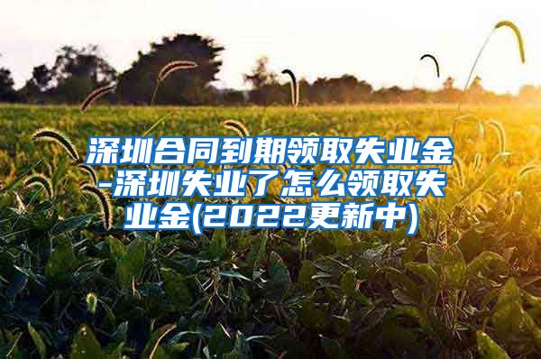 深圳合同到期领取失业金-深圳失业了怎么领取失业金(2022更新中)