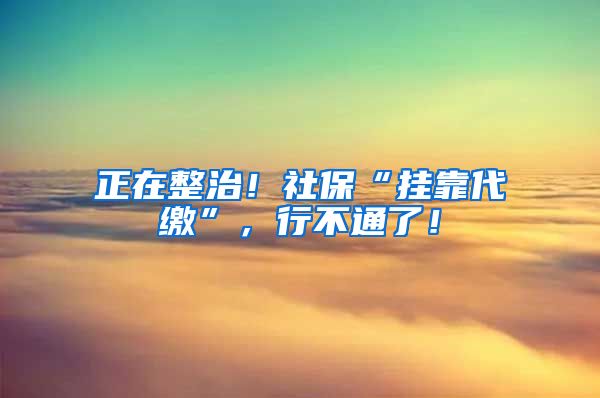 正在整治！社保“挂靠代缴”，行不通了！