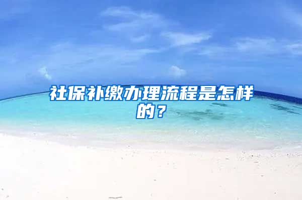 社保补缴办理流程是怎样的？