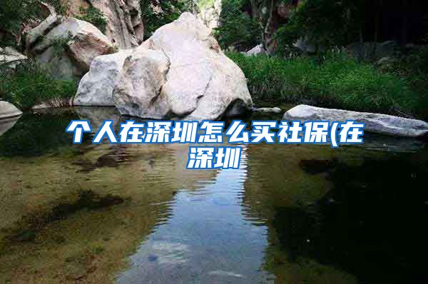 个人在深圳怎么买社保(在深圳
