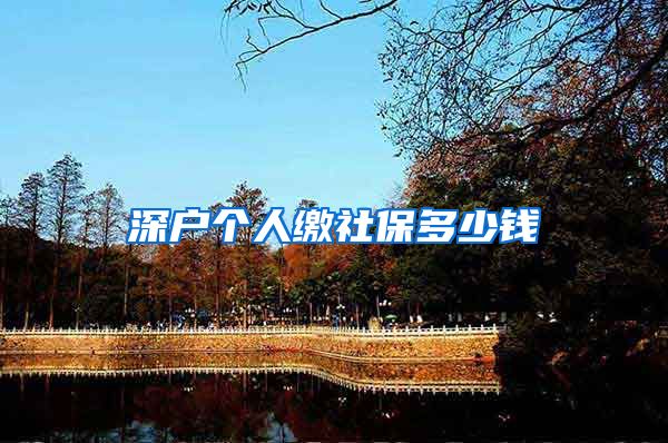 深户个人缴社保多少钱