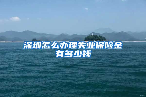 深圳怎么办理失业保险金有多少钱