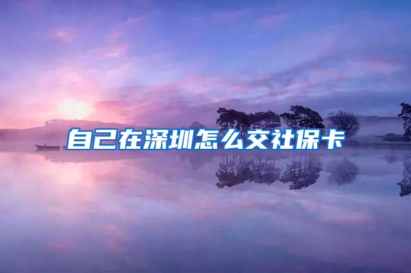 自己在深圳怎么交社保卡