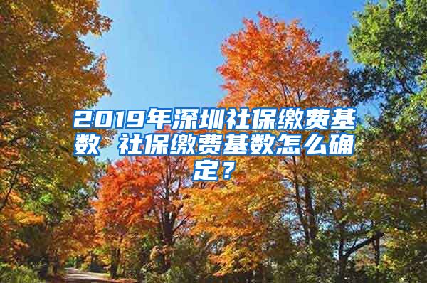 2019年深圳社保缴费基数 社保缴费基数怎么确定？
