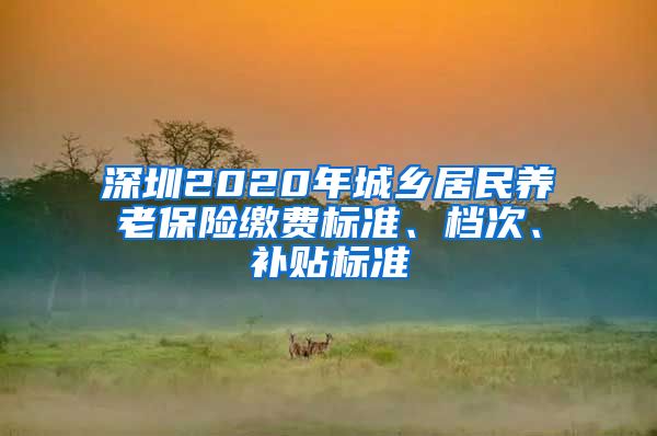 深圳2020年城乡居民养老保险缴费标准、档次、补贴标准