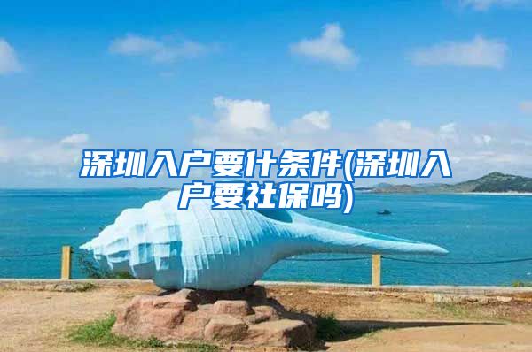 深圳入户要什条件(深圳入户要社保吗)