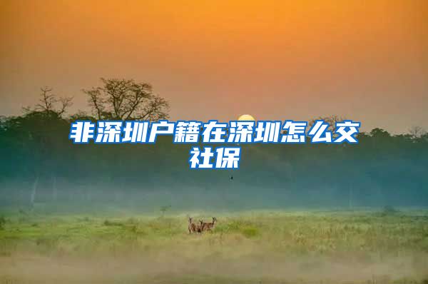 非深圳户籍在深圳怎么交社保