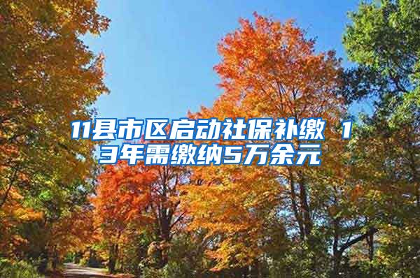 11县市区启动社保补缴 13年需缴纳5万余元