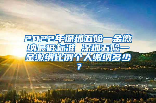 2022年深圳五险一金缴纳最低标准 深圳五险一金缴纳比例个人缴纳多少？