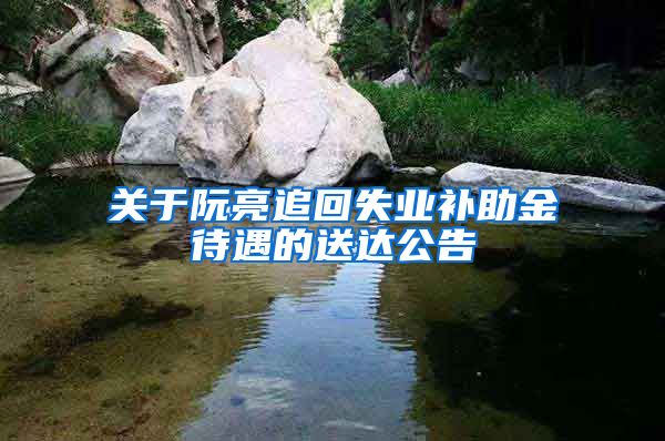 关于阮亮追回失业补助金待遇的送达公告