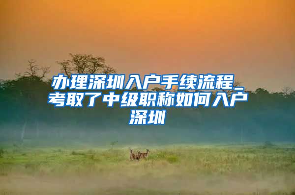 办理深圳入户手续流程_考取了中级职称如何入户深圳