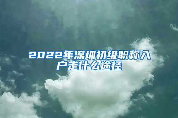 2022年深圳初级职称入户走什么途径