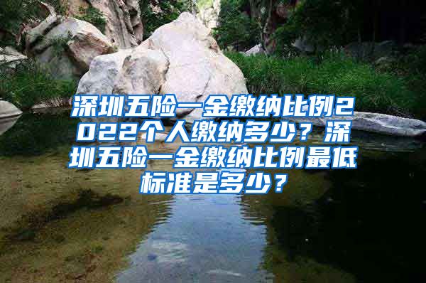 深圳五险一金缴纳比例2022个人缴纳多少？深圳五险一金缴纳比例最低标准是多少？
