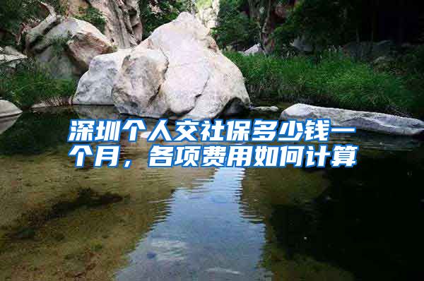 深圳个人交社保多少钱一个月，各项费用如何计算