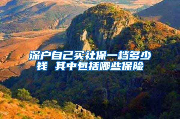 深户自己买社保一档多少钱 其中包括哪些保险