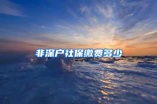 非深户社保缴费多少