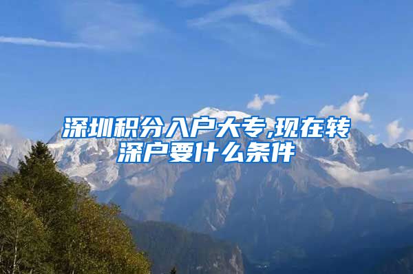 深圳积分入户大专,现在转深户要什么条件