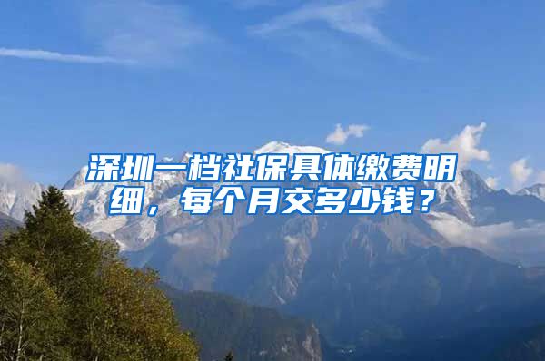 深圳一档社保具体缴费明细，每个月交多少钱？