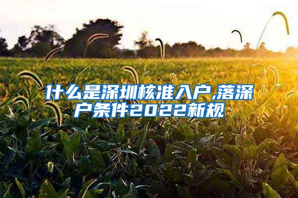 什么是深圳核准入户,落深户条件2022新规