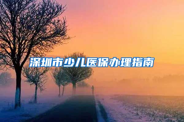 深圳市少儿医保办理指南