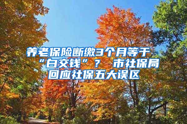 养老保险断缴3个月等于“白交钱”？ 市社保局回应社保五大误区